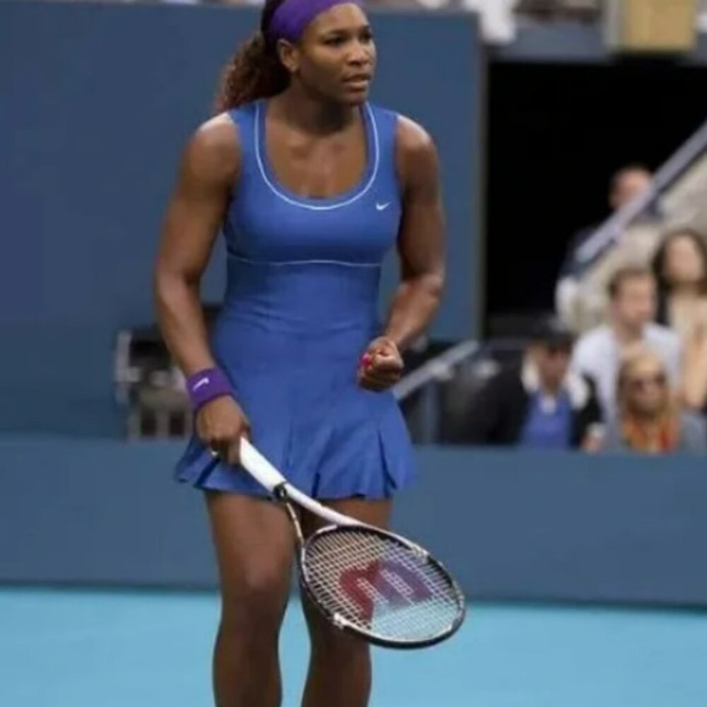 Purple and White Nike Rally Statement Dri-Fit Tennis Dress Sz L